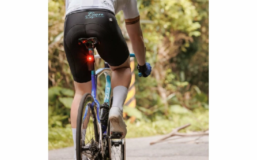 Feux Arrière BRYTON Radar Gardia R300 4 Feux Arrière BRYTON Radar Gardia R300 – Image 4